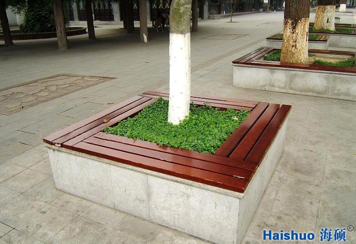 圍樹1.jpg 圍樹1.jpg